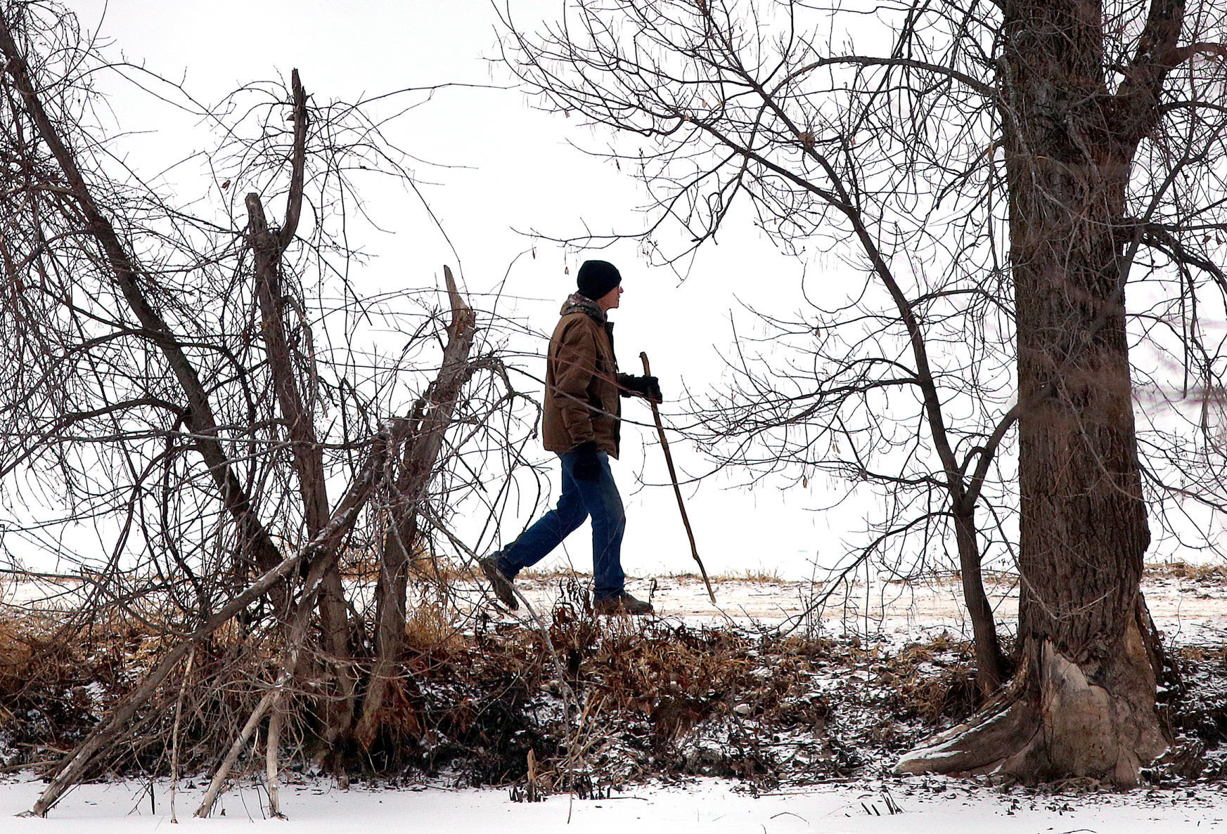 Jan. 17: La Crosse River marsh